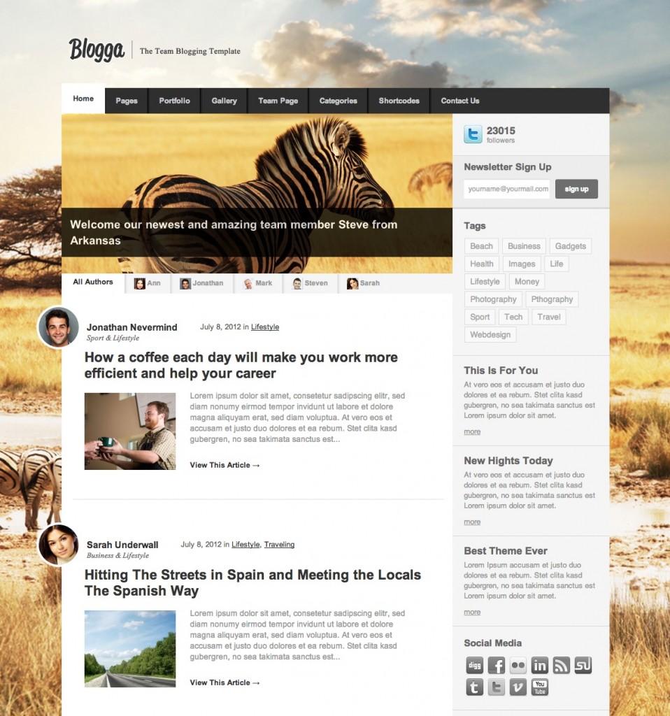 blogga wordpress theme